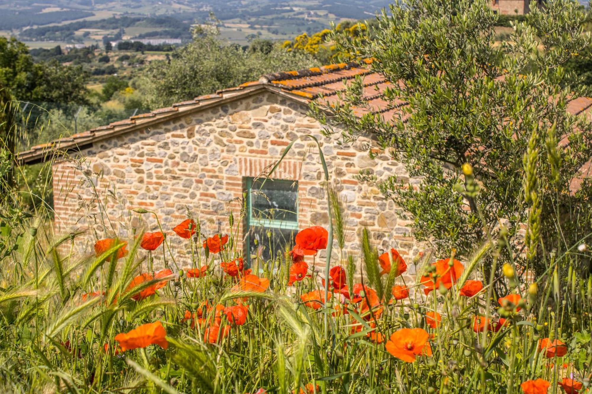 Agriturismo Dandelion 皮耶韦城 外观 照片